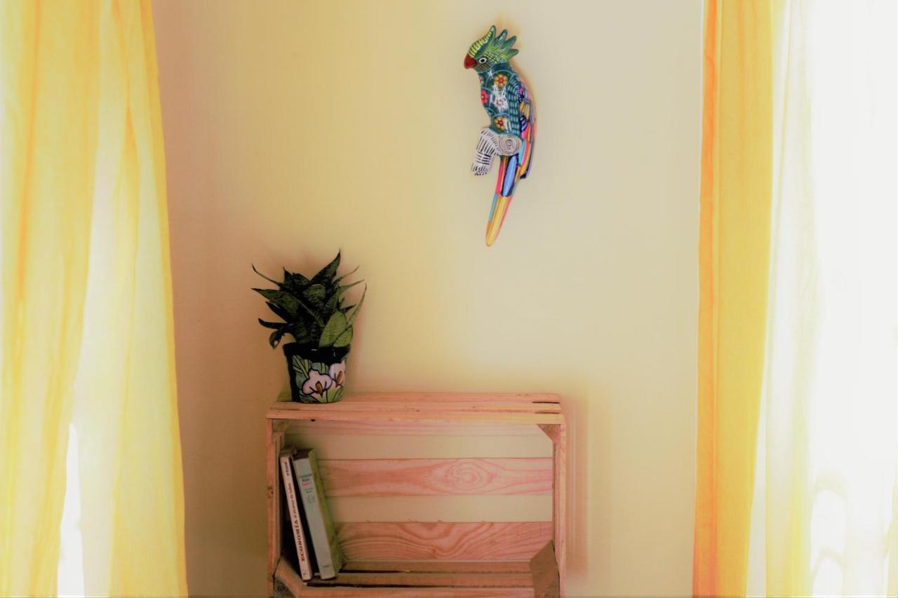 Casa Santaella Hotel Puerto Escondido  Buitenkant foto